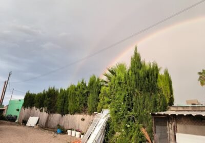 Comimos huerta de abajo 106E, las torres de cotillas, murcia