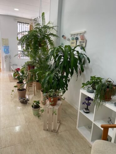 MIMASANA Centro De Masajes
