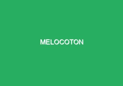 MELOCOTON