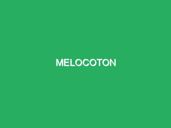 MELOCOTON
