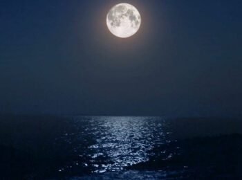 Deep Sleep Tune – Ocean Waves, Drop Asleep Hasty, Stress-free Tune, Snoozing Tune ★138