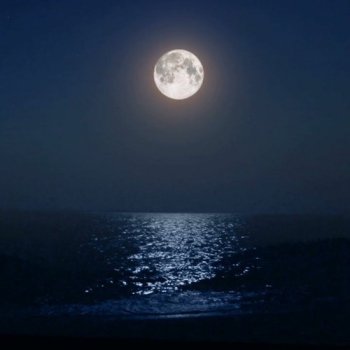 Deep Sleep Tune – Ocean Waves, Drop Asleep Hasty, Stress-free Tune, Snoozing Tune ★138