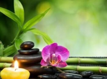 Relaxing Music for Stress Relief. Mute Music for Meditation, Sleep, Relax, Healing Treatment, Spa