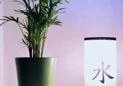JúLu Masaje Massage Asian