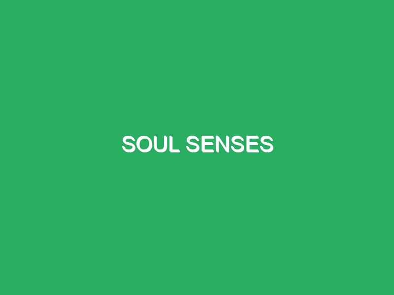 soul senses 70893 Masajes Barcelona 24 Horas