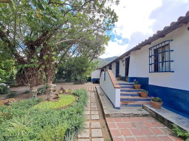 Corphus Menti Centro de Salud