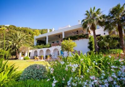 Finca Avedin