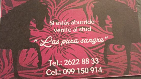 LAS PURA SANGRE CASA DE MASAJE