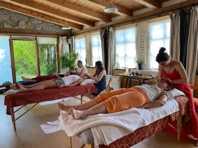 Shakti Yoga y Ayurveda Madrid – Formación, Relajantes especiales y Terapias