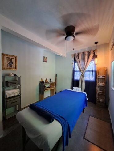 Therapeutic Massage Mano Azul