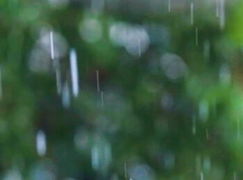 Relaxing Song & Subtle Rain Sounds – Still Piano Song for Sleep & Leisure