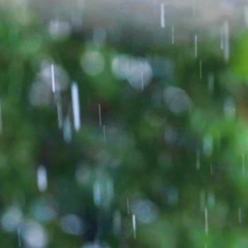 Relaxing Song & Subtle Rain Sounds – Still Piano Song for Sleep & Leisure