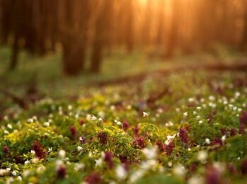 Stress-free Piano Song: Violin Song, Romantic Song, Beautiful Song, Soothing Sleep Song