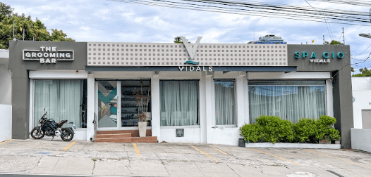 Vidals Salón | La Mascota