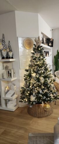 Centro De Estética Géminis – Centro de belleza Integral y depilación