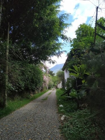 Amanae Guatemala & Heartfulness Leadership