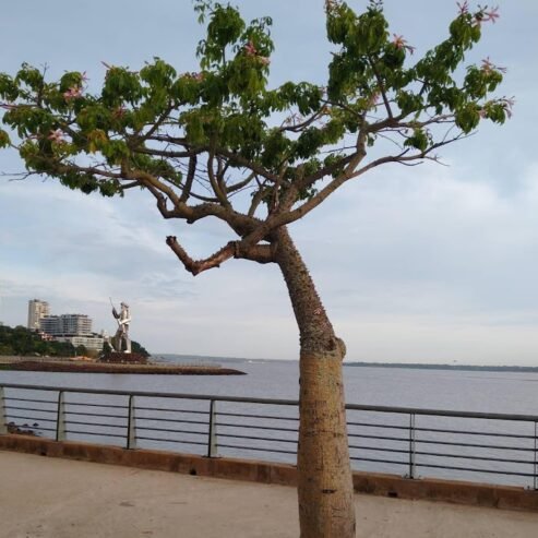 EL REINO DE NATUVEL