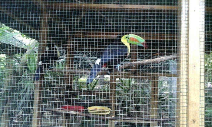 1743927613 998 Zoologico Nacional de Nicaragua Zoológico Nacional de Nicaragua