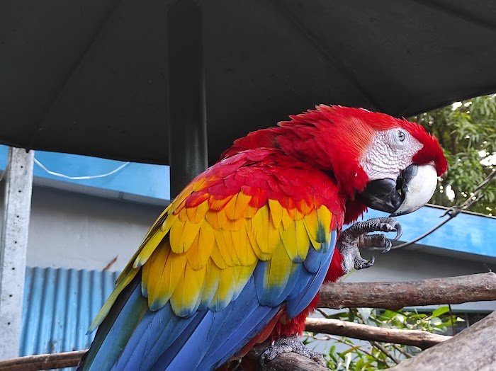1743927614 292 Zoologico Nacional de Nicaragua Zoológico Nacional de Nicaragua