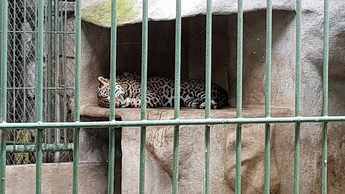 1743927615 534 Zoologico Nacional de Nicaragua Zoológico Nacional de Nicaragua