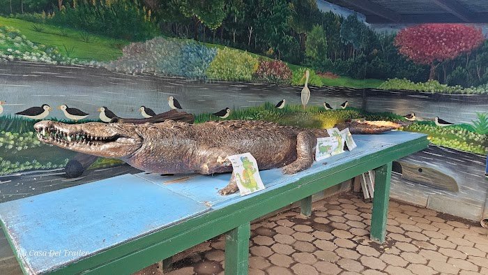 1743927616 678 Zoologico Nacional de Nicaragua Zoológico Nacional de Nicaragua