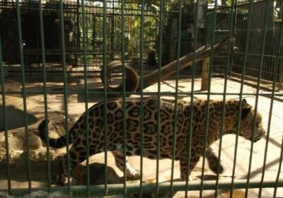 Zoológico Nacional de Nicaragua