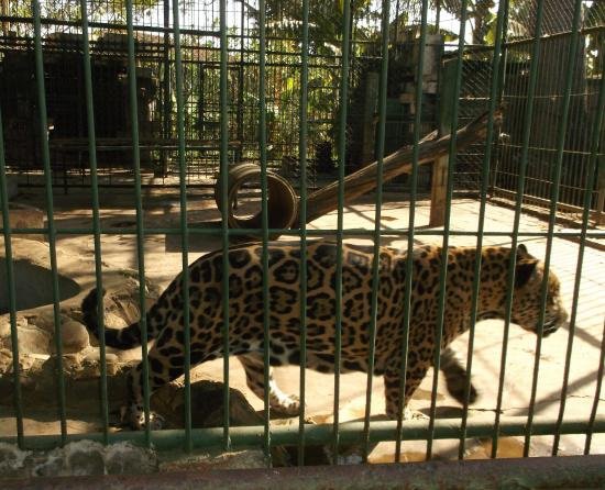 Zoologico Nacional de Nicaragua Zoológico Nacional de Nicaragua