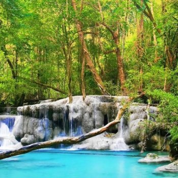 Stress-free Zen Song With Water Sounds • Relax, Sleep, Spa, Yoga, Meditation – Soothing Leisure
