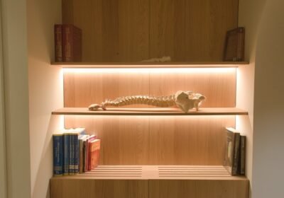 Osteopatía – Fisioterapia Andeka Bravo de Medina Urtiaga