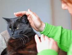 Masaje relajante/ descontracturante, Reiki y Reflexología podal